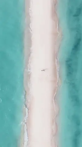 20 Atolls in the #Maldives and we get this one all to ourselves 🏝 From our adventure with #ScubaSpa last week! #travel #drone #island #couples
