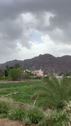 #اكسبلور #نجران مزارع نجران دائما خضرااااء ❤️❤️😍