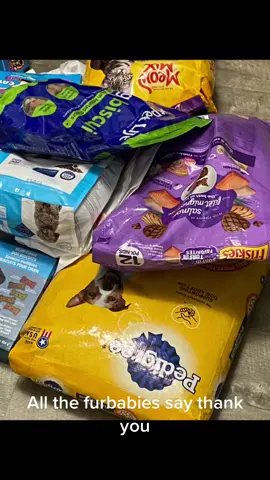 #animaldonations #petfooddonations #rescuekittens #deafdogsoftiktok #rescuedog #tossedliketrash #alltheywantislove