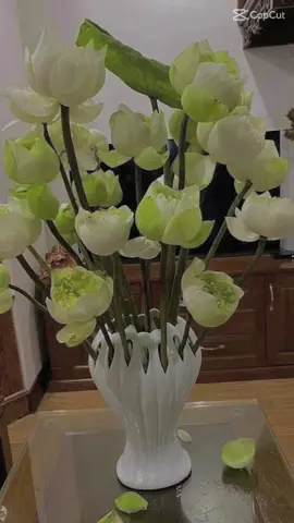 🌺🌺🌺Lọ hoa bàn tay Phật làm mưa gió cộng đồng mạngSize 23 cm : 89kSize 28cm : Giá #120kkkkYêu hoa nhưng cắm hoa nhìn như chửi nhau!!!...😩😩😩Đừng lo😌! Lọ hoa Bàn tay Phật cân hết🥳! Cứ vào tay em ấy là auto đẹp mĩ miều, tha hồ mà ảo, mà sang chảnh!🤪🤪Hoa j cũng đẹp, cắm kiểu j cũng yêu😍😍Hv