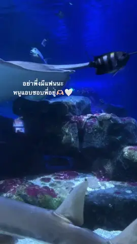 รุ่นพี่มันดีต่อใจ🥺 #fyp #เธรด #เธรดแอบชอบ #แอบชอบรุ่นพี่