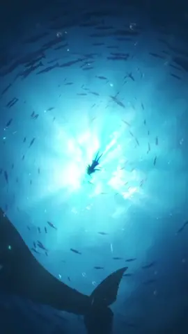 52Hz tần số của chú cá voi cô đơn nhất thế giới. Lưu về làm hình nền động nào 💙#xuhuongtiktok#fyp#foryou#4k#wallpaper