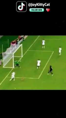 Dogfootball scorpion tail pendulum⚽️#dog #dogsoftiktok #dogs #pet #pets #PetsOfTikTok #football #footballtiktok #footballvideo #funny #funnyvideos #funnyvideo #fyp #fypシ #fypage