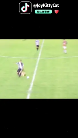 Dog sliding tackle🐶⚽️#slidingtackle #tackle #dog #dogsoftiktok #dogs #football #footballtiktok #footballvideo #funny #funnyvideos #funnyvideo #pet #pets #PetsOfTikTok #fyp #fypシ #fypage