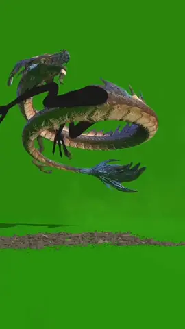 分享 #生龙飞天绿幕素材 #绿幕素材 #greenscreen #fyp #dragonfly
