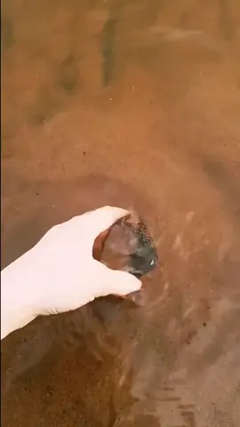 OMG💎😱#crystals #crystalhunting #crystalcollection #crystalhunter #crystalsoftiktok