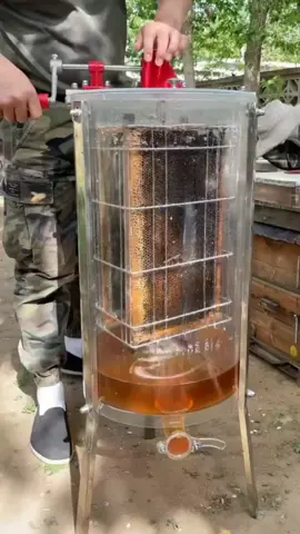 WOW!Shake out the natural honey#🥰 #wildhoney #Naturalhoney #honeycomb #honeybees #satisfying #honeyperez #fouyou #USA #fyp