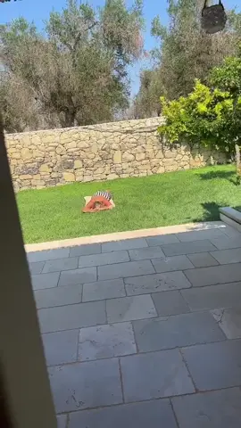 🤣🤣🤣🤣🤣🤣