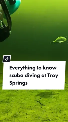 How to dive Troy Springs - one of the biggest spring basins in Florida #scubadivingwithkenny #troysprings #flsprings #scubatok #scubadiving #scubadivingtips #divetrip