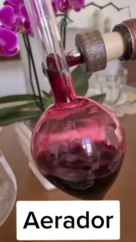 #Aerador #vinhos #decanter #ricardosommelier aerador serve para abrir os aromas do vinho mais rápido, ajuda a evoluir os aromas. créditos página ilovevinhos.