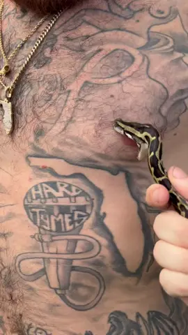 Nipple piercing…. FLORIDA STYLE! 😂 #Stackz954 #FloridasFavorite #ExoticExpress