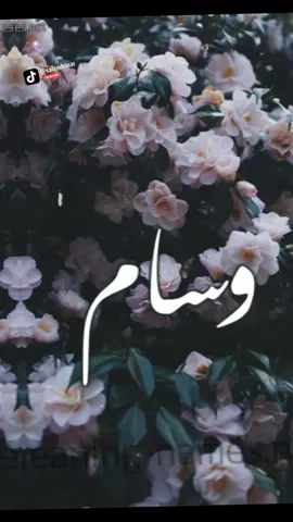 الرد على @user5337679360465h حسب الطلب 🦋✨#اسم_وحرف_تصميمي #salamh_mar #جلادين #نورمار #fyp #foryou