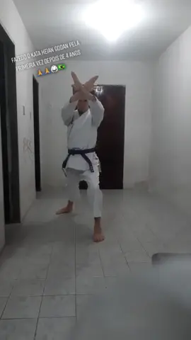 #heiangodan #karate #karateshotokan #fypシ