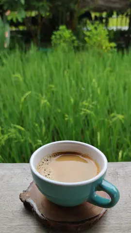 #กาแฟยามเช้า#ทุ่งนาสีเขียว🌿🌿🌿 #ธรรมชาติ #รวงข้าว #ชิวๆ
