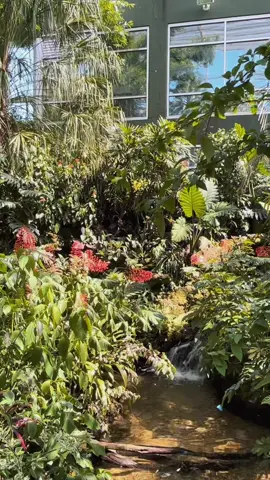 peep quite literally the blue butterfly emoji 🦋🥹