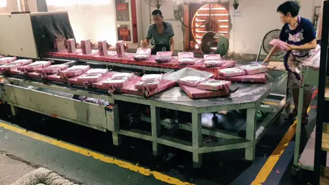 Do you want the job?#tiktok #foryou #fyp #yogamatfactory #pu