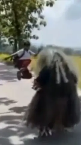 Pov : Ketika kekuatan kalian yg terpendam keluar🔥😂🤣 #Running #dikejar #barongan #narutomeme #funnymoments #challenge #naruto #opening #kanaboonshillhouette #kanaboon #barongandevil #barongankediri #funny #budaya #kekuatanterpendam  #dikejarbarongan #narutoedit #funnyvideos #barongangalak #baronganngamuk #baronganhits #freerunning #runningchallenge #funnymemes #funnytiktok #funny #funnyy #wibu #budayajawa #budayabali #budayaindonesia🇮🇩 #fyp #foryou #foryoupage #fypシ
