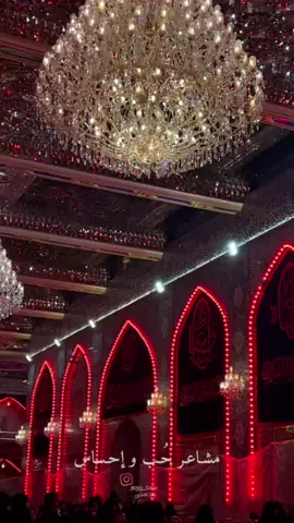 من شفتـك ما شفـت الناس .. مشـاعـر حُـب و أحساس❤️🪴#عتبه_العباسيه #حرم_ابا_الفضل_العباس #محمد_الجنامي