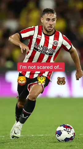👋 Say hello to Mr Socko, George! 😱 #efl #footballtiktok #WWE #sheffieldunited #baldock #billysharp
