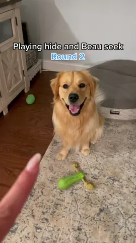 Mom got what she deserved at the end. #fyp #foryoupage #dogsoftiktok