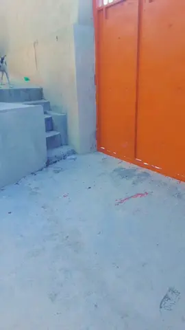 Darling sweetie 😂🤣🤣🤣🤣🤣🤣#fyp #pourtoi #fypシ