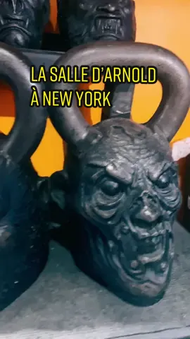 On est a NYC pour découvrir la Mid City Gym & Tanning, une des salles de @arnoldschnitzel et pleins d’autres Bodybuilders ! 🏋️‍♀️#muscu #testsalle #test #nyc #gym #arnoldschwarzenegger #passion