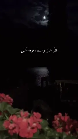 #اكسبلور #محمد_عبده #explor