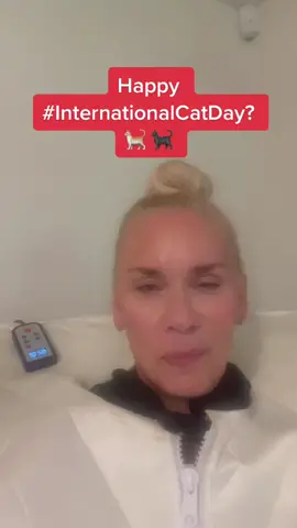 POLL: Are you a 🐱 or 🐶 person?? Cats give me the willies 😬 but happy #InternationalCatDay nonetheless!! 😂  #BigPantyNation #catsoftiktok  #DogPerson #dogsoftiktok #DogLady #catlovers #LeanneMorgan #fyp