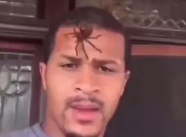 Yall really think he look like #steveharvey ? #meme #memes #funny