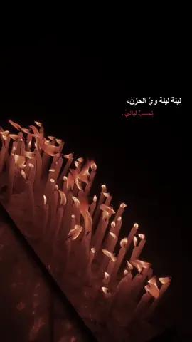 #محرم #كربلا #لطميات #حسينيات #بين_الحرمين #باسم #مرتضى #تيك_توك #انستا #نشرر #اكسبلور #فيد #ستوريات #حزنن #مسل #حالات_واتس #ليله #العاشر #عاشوراء_الحسين #العراق