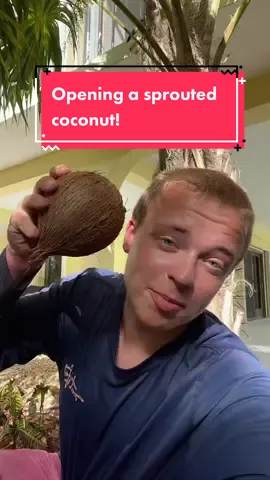 Luckily this one I didn’t go to the hospital over 😅 #fyp #foryoupage #coconut #openingcoconut #fruit