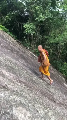 Shoes: Optional 👣 Checkout this Monk tackling this steep hill barefoot! 👣 Proving to the climbers next to him what can be accomplished with strong, healthy feet 👣 Would you be able to do this?  🎥 by vunglomlalaiy on TT 📍Cambodia 🇰🇭  #thefootcollective #healthyfeet #healthypaws #foothealth #barefoot #freeyourfeet #shoesoptional #fyp