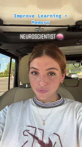 #greenscreen put in plain english at the end 🧠🙃 #memory #Science #scientist #LearnOnTikTok