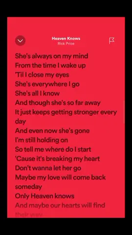 #heavenknows #rickprice #lyrics ##songlyrics #trend #fyp
