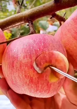 #fyp #satisfying #satisfyingvideo