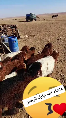 #اذا_اعجبك #اذكروا_الله💜 #ماشاءالله #لاتنسوا_لايك_ومتابعة_وحركة_الاكسبلور #فضلن_وليس_امراا