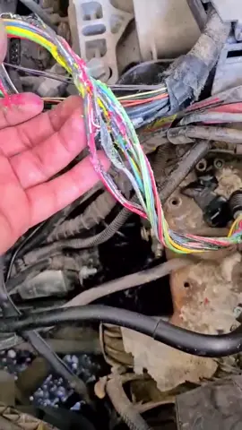 Problemas en arnes de transmisiom de Jetta A4 ##VWJetta #Jetta #JettaA4 #transmisionesautomaticas #01M ##volkswagen