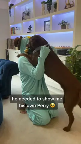 The day Ollie met his hero 🥰 #perrytheplatypus #goodboy