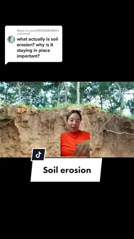 Replying to @user219929284869 anything to add? @rockmanethan @rocktokcate @you_breccia  @geobeckly @geologist_rambling #soilerosion #environmentalscience #geology #climatechange #fieldwork #soil