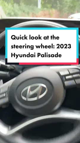 Replying to @gjj617 Here’s a quick look at the steering wheel and the digital displays… #Hyuadai #Palisade #hyundaipalisade #cardujour 