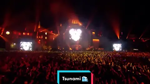 @dimitrivegasandlikemike Live At @tomorrowland 2013 Tsunami Magic drop 🌊💙 #tomorrowland #foryou #dimitrivegasandlikemike #edm #bigroomhouse #musicfestival #dvbbs #borgeous #kshmr #tsunami