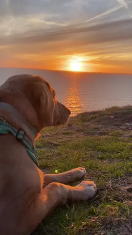 new core memory unlocked 🔓 #fyp #sunset #Relationship #Love #puppy #Summer #corememories