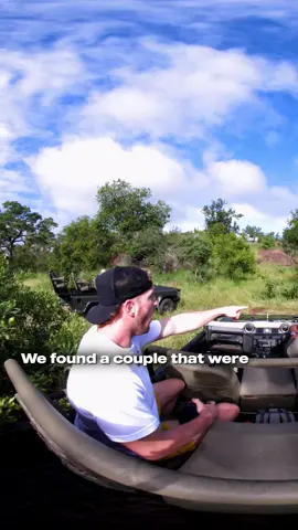 Face to face with wild Lions… #99originals #photography #polaroid 