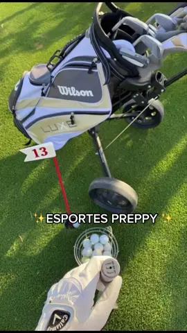Graças à essa referência esportiva que hoje temos looks mais despojados e fáceis de usar em ocasiões informais. ✨#preppystyle #preppyoutfits #preppytok #estilopreppy #preppy #preppylifestyle #preppyaesthetic #preppymasculino #esportespreppy #preppysports