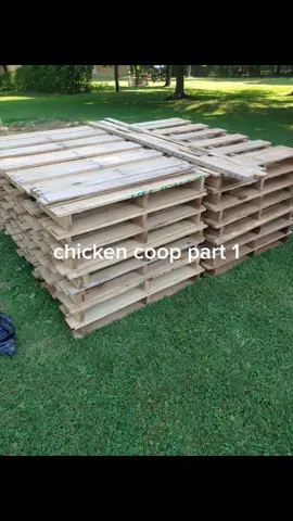 start of a chicken coop out of pallets