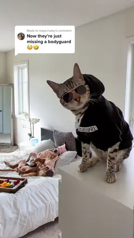 Replying to @maya.husky What else are they are they missing? #dogsoftiktok #dog #spaw #funnydogvideos