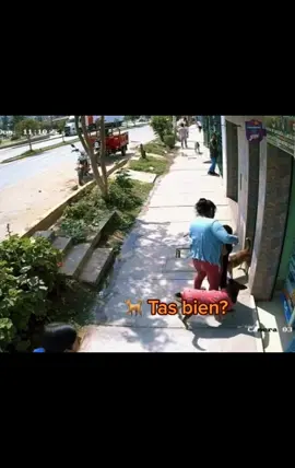 🐕😂 #frenacoñofrena #viral #caidas #tiktok #fyp #fy #fypシ #dogsoftiktok #perroscallejeros #karene135 #humor