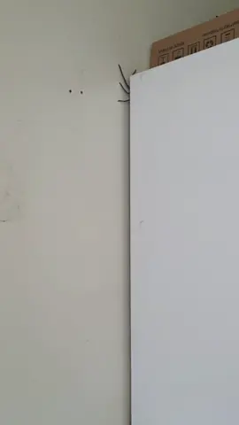 #stitch w / @serene85219 #ihatespiders #jesusfixit