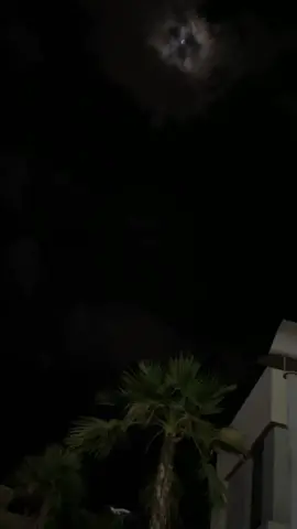 حماقي💔.   #fyp 