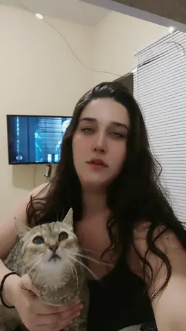 quando falam que não posso mais adotar mais gatos 🤣🤡#gatos